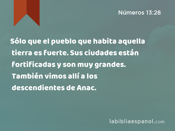 Sólo que el pueblo que habita aquella tierra es fuerte. Sus ciudades están fortificadas y son muy grandes. También vimos allí a los descendientes de Anac. - Números 13:28