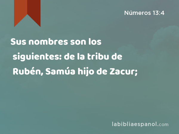 Sus nombres son los siguientes: de la tribu de Rubén, Samúa hijo de Zacur; - Números 13:4