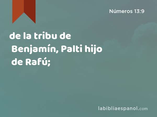 de la tribu de Benjamín, Palti hijo de Rafú; - Números 13:9