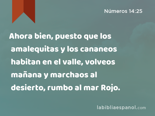 Ahora bien, puesto que los amalequitas y los cananeos habitan en el valle, volveos mañana y marchaos al desierto, rumbo al mar Rojo. - Números 14:25