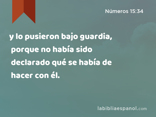 y lo pusieron bajo guardia, porque no había sido declarado qué se había de hacer con él. - Números 15:34