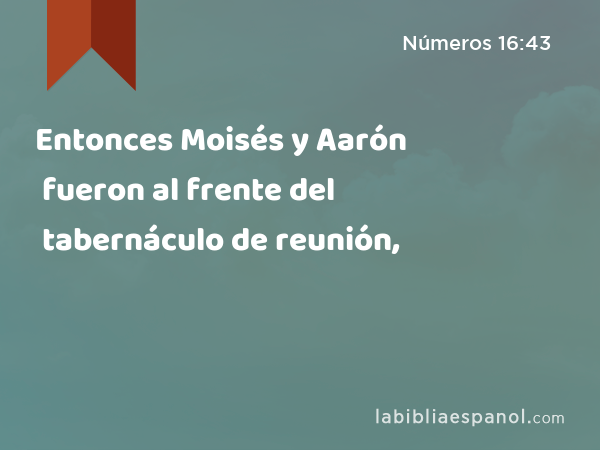 Entonces Moisés y Aarón fueron al frente del tabernáculo de reunión, - Números 16:43