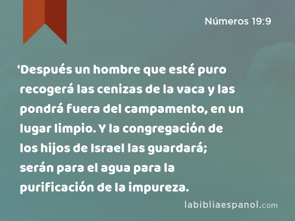 'Después un hombre que esté puro recogerá las cenizas de la vaca y las pondrá fuera del campamento, en un lugar limpio. Y la congregación de los hijos de Israel las guardará; serán para el agua para la purificación de la impureza. - Números 19:9