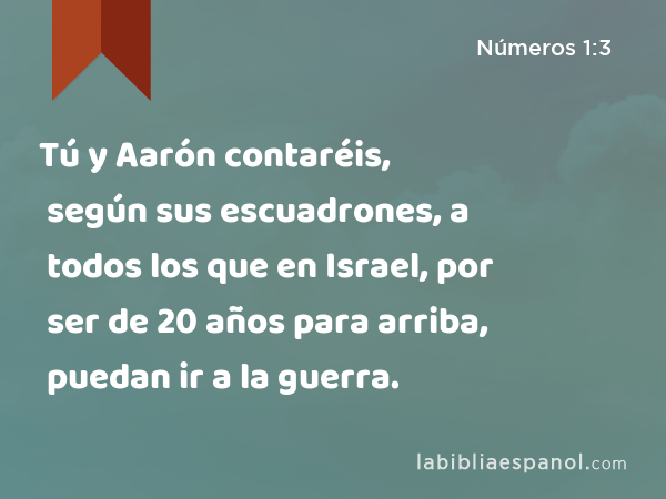 Tú y Aarón contaréis, según sus escuadrones, a todos los que en Israel, por ser de 20 años para arriba, puedan ir a la guerra. - Números 1:3