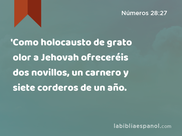 'Como holocausto de grato olor a Jehovah ofreceréis dos novillos, un carnero y siete corderos de un año. - Números 28:27