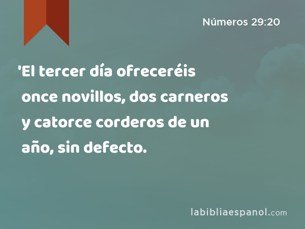 'El tercer día ofreceréis once novillos, dos carneros y catorce corderos de un año, sin defecto. - Números 29:20