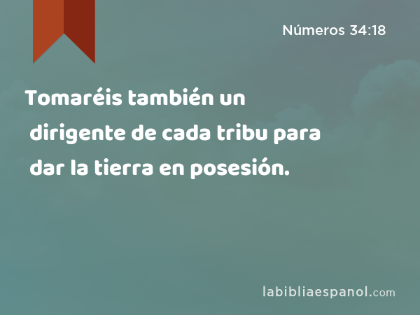 Tomaréis también un dirigente de cada tribu para dar la tierra en posesión. - Números 34:18