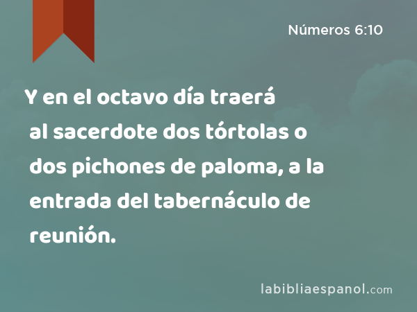 Y en el octavo día traerá al sacerdote dos tórtolas o dos pichones de paloma, a la entrada del tabernáculo de reunión. - Números 6:10