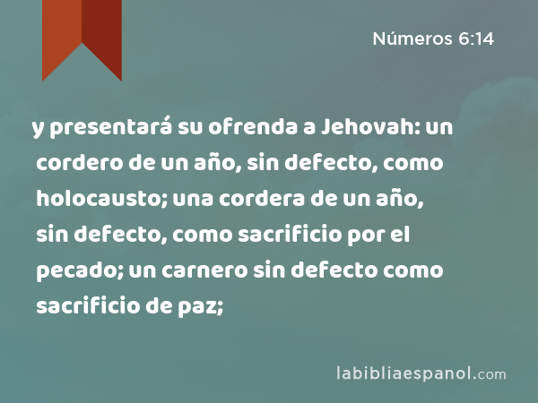 y presentará su ofrenda a Jehovah: un cordero de un año, sin defecto, como holocausto; una cordera de un año, sin defecto, como sacrificio por el pecado; un carnero sin defecto como sacrificio de paz; - Números 6:14