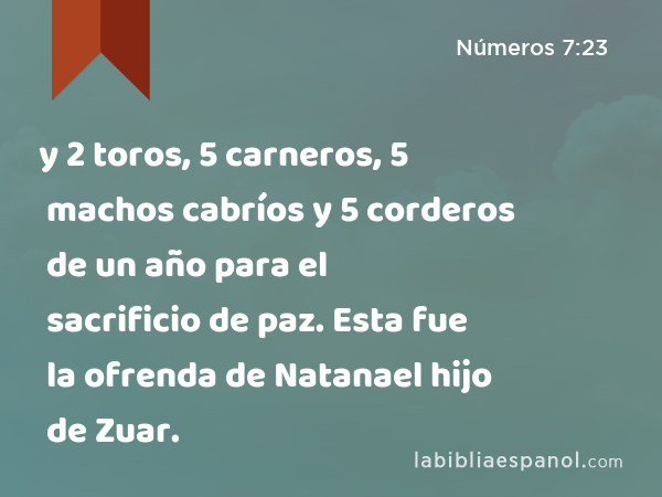 y 2 toros, 5 carneros, 5 machos cabríos y 5 corderos de un año para el sacrificio de paz. Esta fue la ofrenda de Natanael hijo de Zuar. - Números 7:23