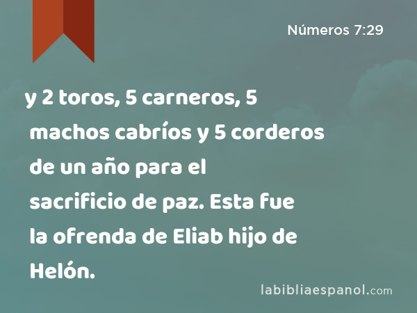 y 2 toros, 5 carneros, 5 machos cabríos y 5 corderos de un año para el sacrificio de paz. Esta fue la ofrenda de Eliab hijo de Helón. - Números 7:29