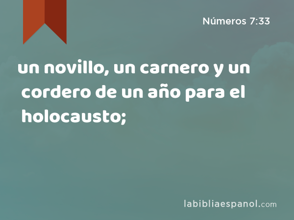 un novillo, un carnero y un cordero de un año para el holocausto; - Números 7:33