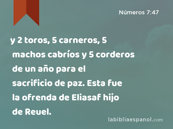 y 2 toros, 5 carneros, 5 machos cabríos y 5 corderos de un año para el sacrificio de paz. Esta fue la ofrenda de Eliasaf hijo de Reuel. - Números 7:47