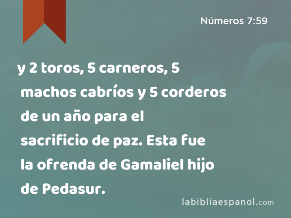 y 2 toros, 5 carneros, 5 machos cabríos y 5 corderos de un año para el sacrificio de paz. Esta fue la ofrenda de Gamaliel hijo de Pedasur. - Números 7:59