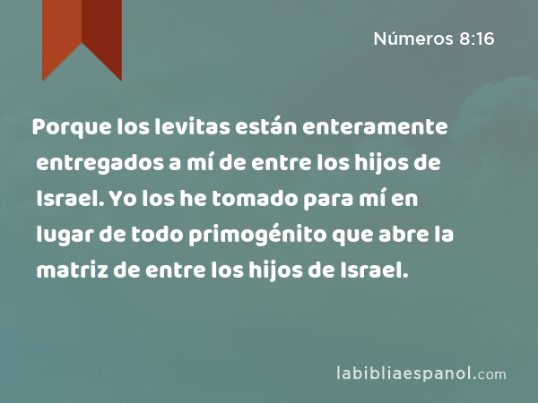 Porque los levitas están enteramente entregados a mí de entre los hijos de Israel. Yo los he tomado para mí en lugar de todo primogénito que abre la matriz de entre los hijos de Israel. - Números 8:16