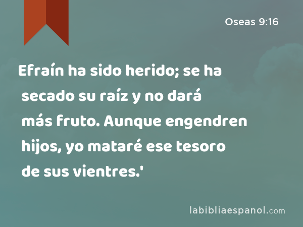 Efraín ha sido herido; se ha secado su raíz y no dará más fruto. Aunque engendren hijos, yo mataré ese tesoro de sus vientres.' - Oseas 9:16