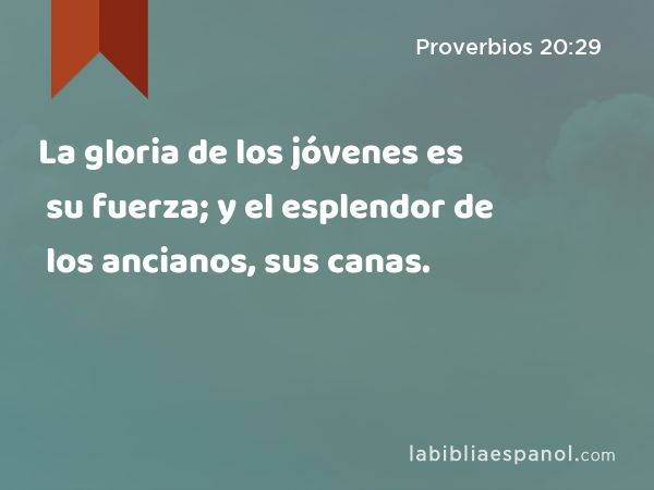 La gloria de los jóvenes es su fuerza; y el esplendor de los ancianos, sus canas. - Proverbios 20:29