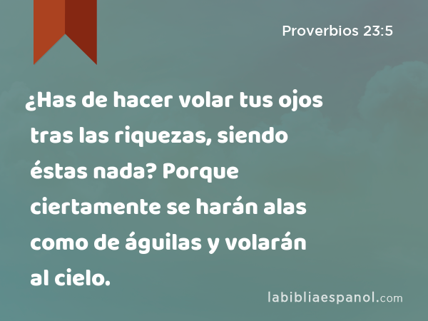 ¿Has de hacer volar tus ojos tras las riquezas, siendo éstas nada? Porque ciertamente se harán alas como de águilas y volarán al cielo. - Proverbios 23:5