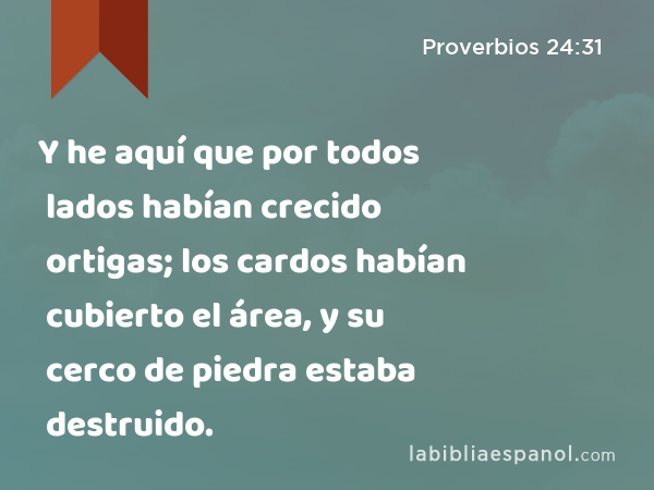 Y he aquí que por todos lados habían crecido ortigas; los cardos habían cubierto el área, y su cerco de piedra estaba destruido. - Proverbios 24:31