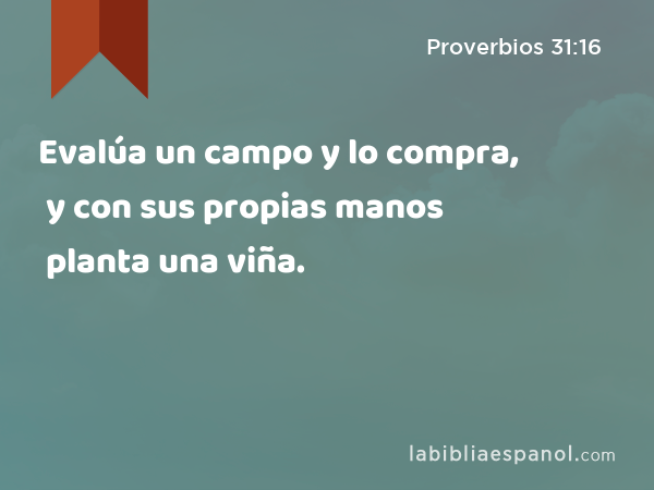 Evalúa un campo y lo compra, y con sus propias manos planta una viña. - Proverbios 31:16