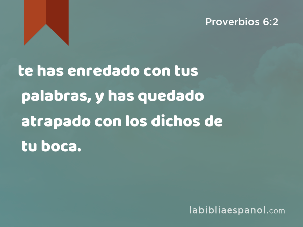 te has enredado con tus palabras, y has quedado atrapado con los dichos de tu boca. - Proverbios 6:2