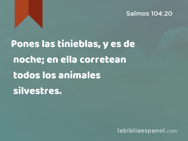 Pones las tinieblas, y es de noche; en ella corretean todos los animales silvestres. - Salmos 104:20