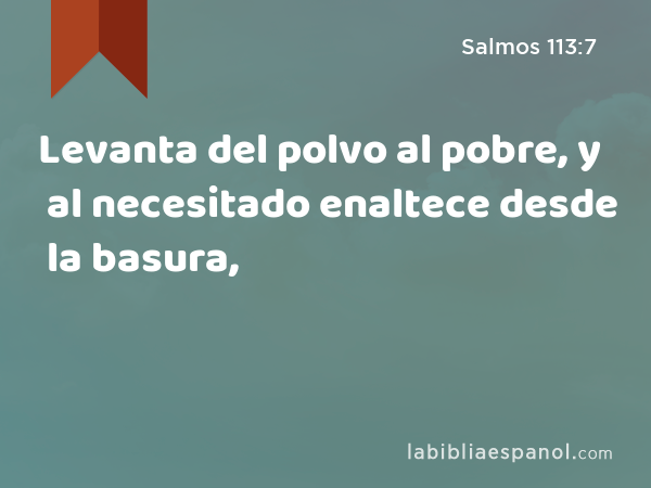 Levanta del polvo al pobre, y al necesitado enaltece desde la basura, - Salmos 113:7