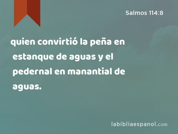 quien convirtió la peña en estanque de aguas y el pedernal en manantial de aguas. - Salmos 114:8