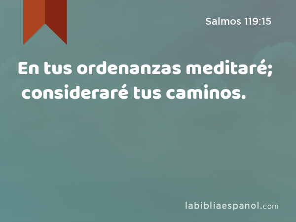 En tus ordenanzas meditaré; consideraré tus caminos. - Salmos 119:15