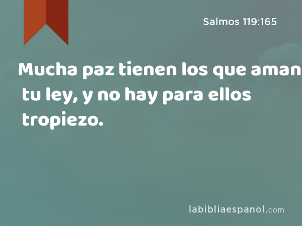 Mucha paz tienen los que aman tu ley, y no hay para ellos tropiezo. - Salmos 119:165