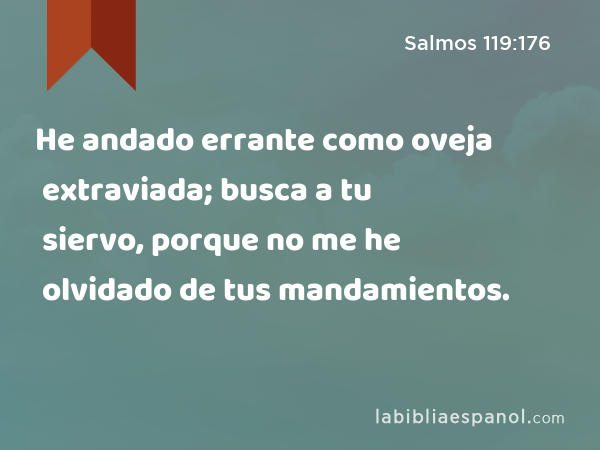 He andado errante como oveja extraviada; busca a tu siervo, porque no me he olvidado de tus mandamientos. - Salmos 119:176