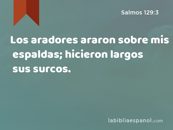 Los aradores araron sobre mis espaldas; hicieron largos sus surcos. - Salmos 129:3