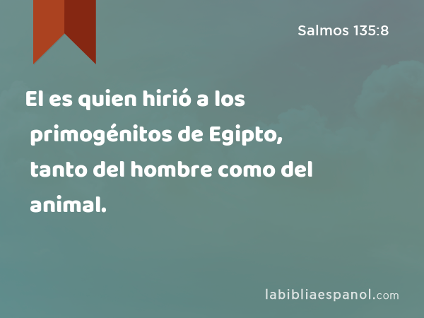 El es quien hirió a los primogénitos de Egipto, tanto del hombre como del animal. - Salmos 135:8