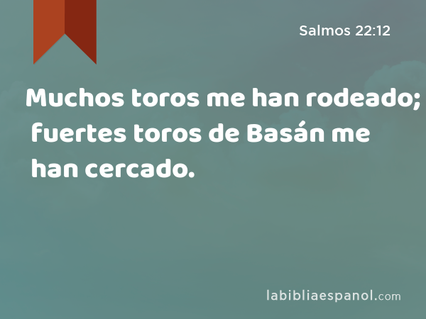 Muchos toros me han rodeado; fuertes toros de Basán me han cercado. - Salmos 22:12