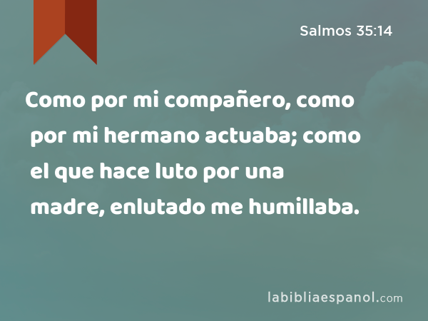 Como por mi compañero, como por mi hermano actuaba; como el que hace luto por una madre, enlutado me humillaba. - Salmos 35:14