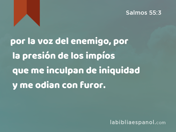 por la voz del enemigo, por la presión de los impíos que me inculpan de iniquidad y me odian con furor. - Salmos 55:3