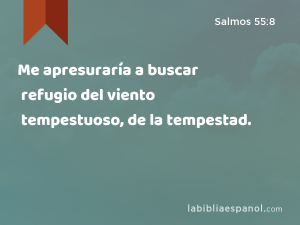 Me apresuraría a buscar refugio del viento tempestuoso, de la tempestad. - Salmos 55:8