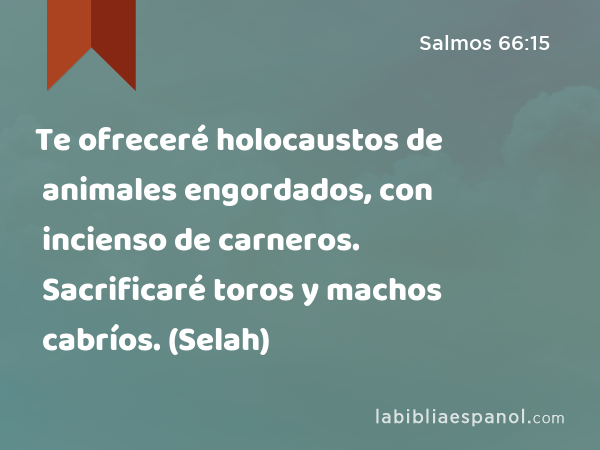 Te ofreceré holocaustos de animales engordados, con incienso de carneros. Sacrificaré toros y machos cabríos. (Selah) - Salmos 66:15