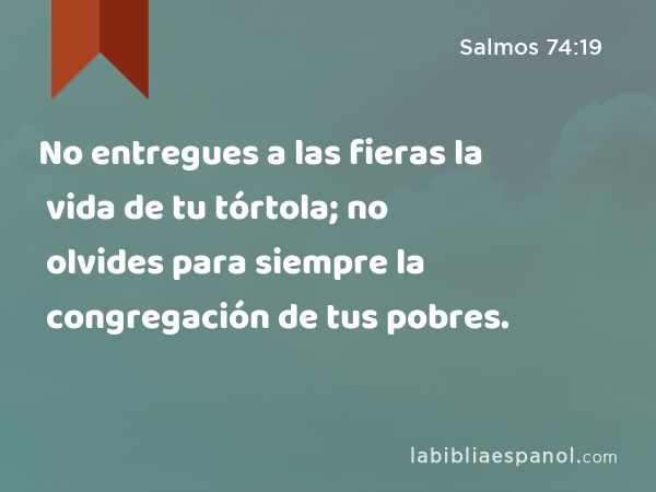 No entregues a las fieras la vida de tu tórtola; no olvides para siempre la congregación de tus pobres. - Salmos 74:19