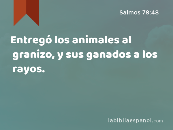 Entregó los animales al granizo, y sus ganados a los rayos. - Salmos 78:48