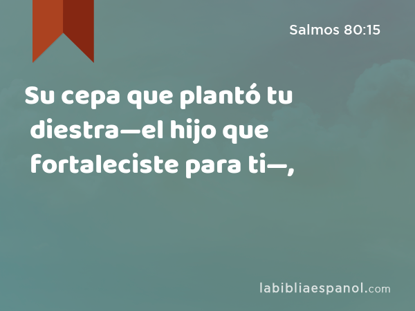 Su cepa que plantó tu diestra—el hijo que fortaleciste para ti—, - Salmos 80:15