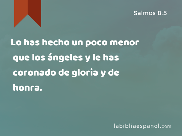 Lo has hecho un poco menor que los ángeles y le has coronado de gloria y de honra. - Salmos 8:5