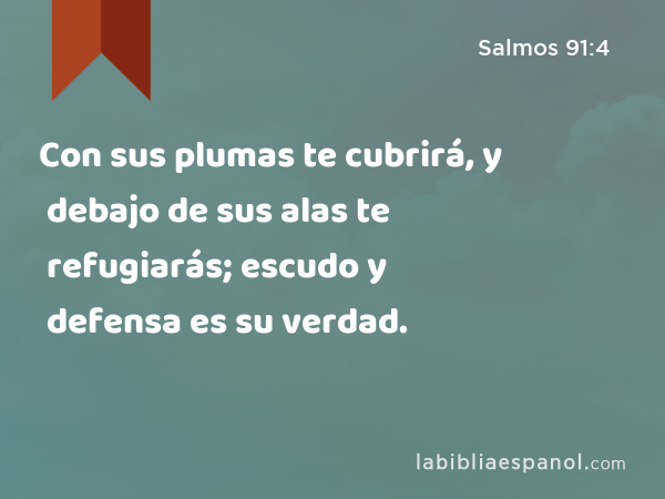 Con sus plumas te cubrirá, y debajo de sus alas te refugiarás; escudo y defensa es su verdad. - Salmos 91:4