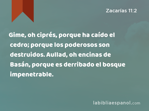 Gime, oh ciprés, porque ha caído el cedro; porque los poderosos son destruidos. Aullad, oh encinas de Basán, porque es derribado el bosque impenetrable. - Zacarías 11:2