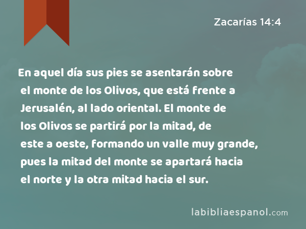 En aquel día sus pies se asentarán sobre el monte de los Olivos, que está frente a Jerusalén, al lado oriental. El monte de los Olivos se partirá por la mitad, de este a oeste, formando un valle muy grande, pues la mitad del monte se apartará hacia el norte y la otra mitad hacia el sur. - Zacarías 14:4