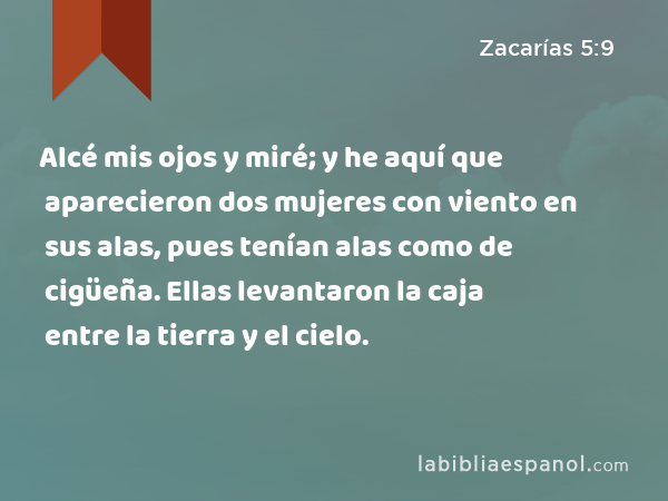 Alcé mis ojos y miré; y he aquí que aparecieron dos mujeres con viento en sus alas, pues tenían alas como de cigüeña. Ellas levantaron la caja entre la tierra y el cielo. - Zacarías 5:9